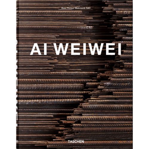 AI WEIWEI - HANS WERNER HOLZWARTH