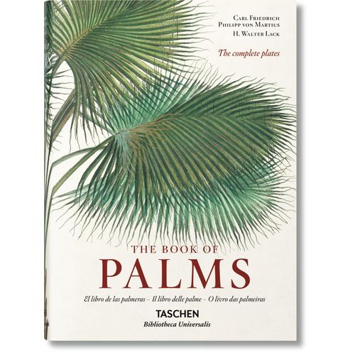 MARTIUS. EL LIBRO DE LAS PALMERAS