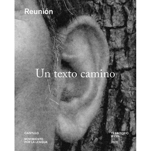 UN TEXTO CAMINO - CAISTULO