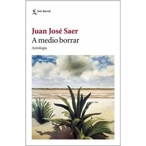 A MEDIO BORRAR (ANTOLOGIA)