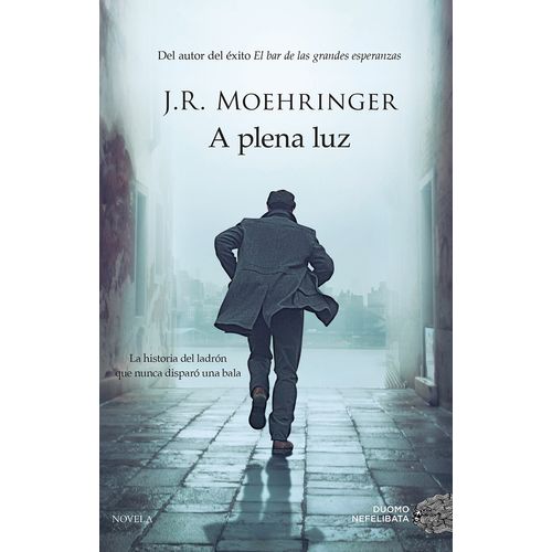 LIBRO A PLENA LUZ - J. R. MOEHRINGER