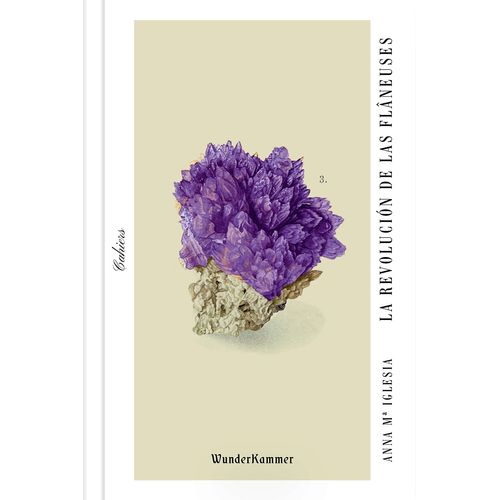 LIBRO LA REVOLUCION DE LAS FLAUNEUSES