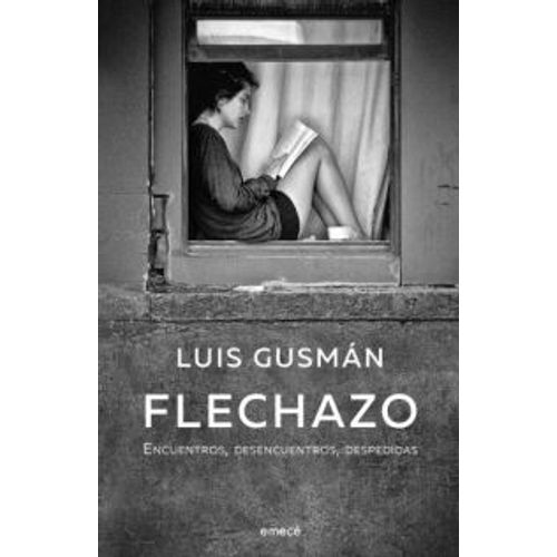 FLECHAZO - ENCUENTROS, DESENCUENTROS, DESPEDIDAS - LUIS GUIS