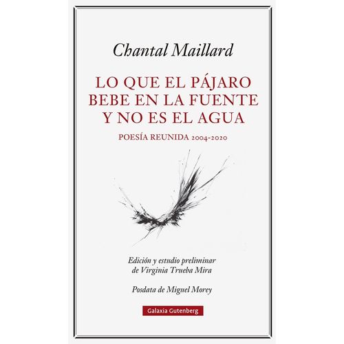 LO QUE EL PAJARO BEBE EN LA FUENTE Y NO ES EL AGUA - MAILLAR