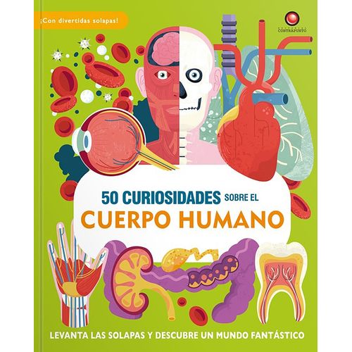 50 CURIOSIDADES SOBRE EL CUERPO HUMANO