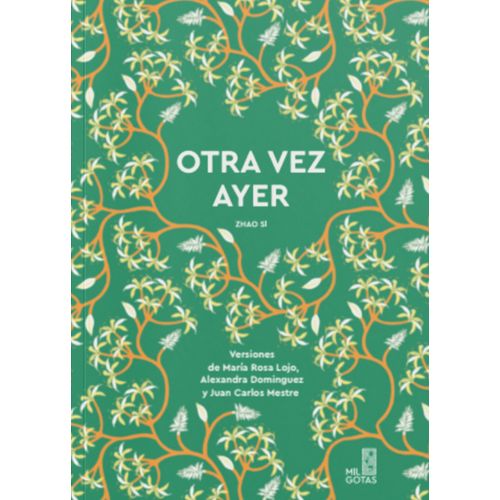 OTRA VEZ AYER - ZHAO SI