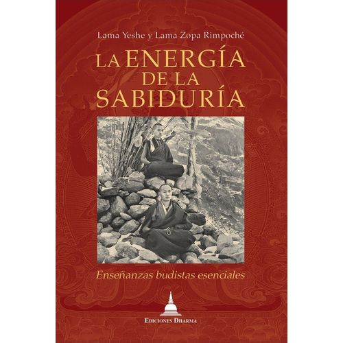 LA ENERGIA DE LA SABIDURIA - ENSEÑANZAS BUDISTAS ESENCIALES