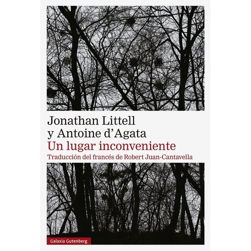 UN LUGAR INCONVENIENTE - JONATHAN LITTELL
