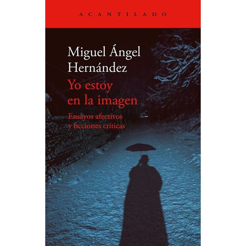 YO ESTOY EN LA IMAGEN - MIGUEL ANGEL HERNANDEZ