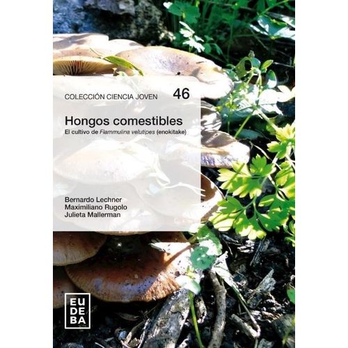 LIBRO HONGOS COMESTIBLES - BERNARDO LECHNER