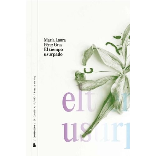 EL TIEMPO USURPADO - MARIA LAURA PEREZ GRAS