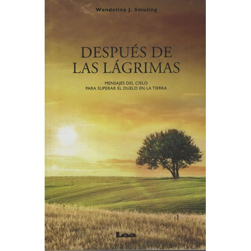 DESPUES DE LAS LAGRIMAS - MENSAJES DEL CIELO PARA SUPERAR EL