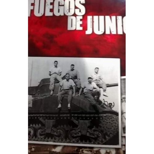 LOS FUEGOS DE JUNIO - RUBEN FLORES GARCIA