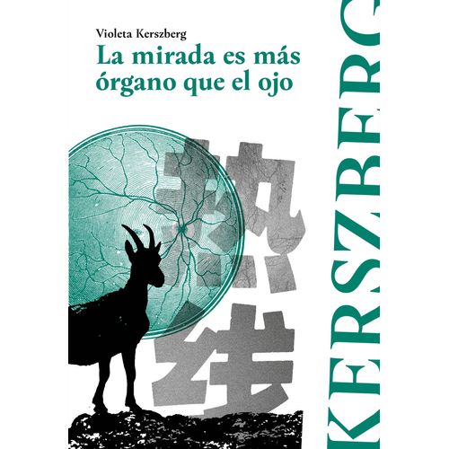 LA MIRADA ES MAS ORGANO QUE EL OJO - VIOLETA KERSZBERG