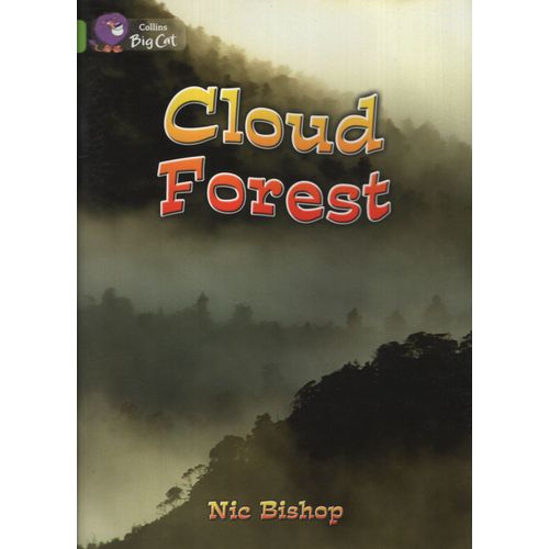 CLOUD FOREST - BIG CAT 11 / LIME