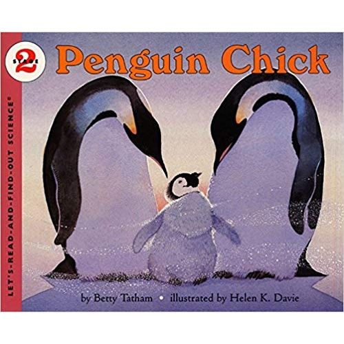 PENGUIN CHICK - BETTY TATHAM PENGUIN CHICK - BETTY TATHAM