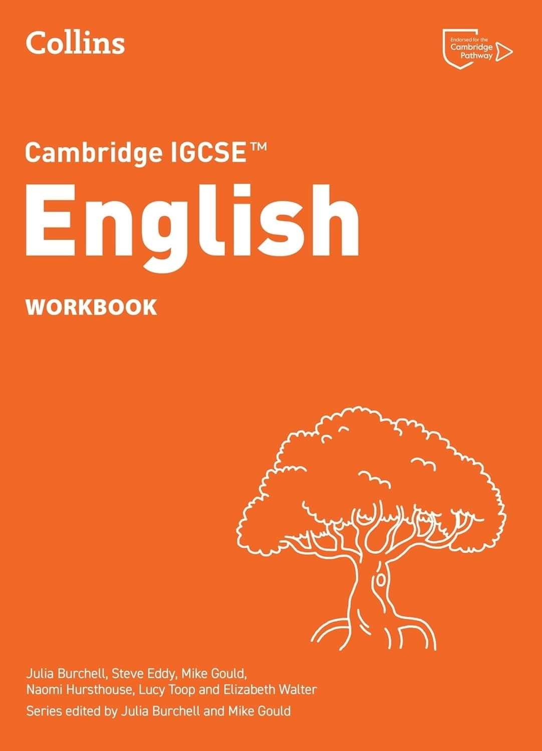 COLLINS CAMBRIDGE IGCSE ENGLISH 4TH EDITION - WORKBOOK
