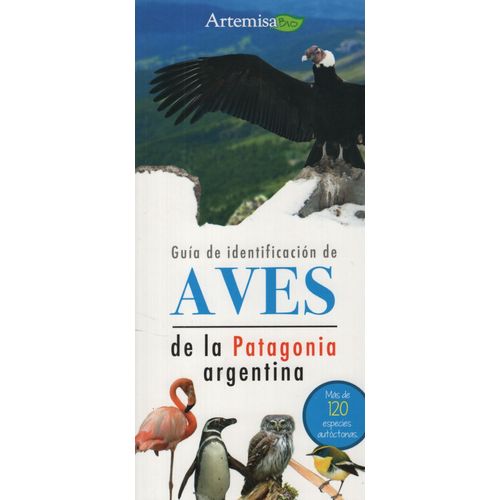 GUIA DE IDENTIFACION DE AVES DE LA PATAGONIA ARGENTINA