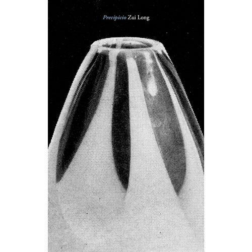 LIBRO PRECIPICIO - ZUI LONG