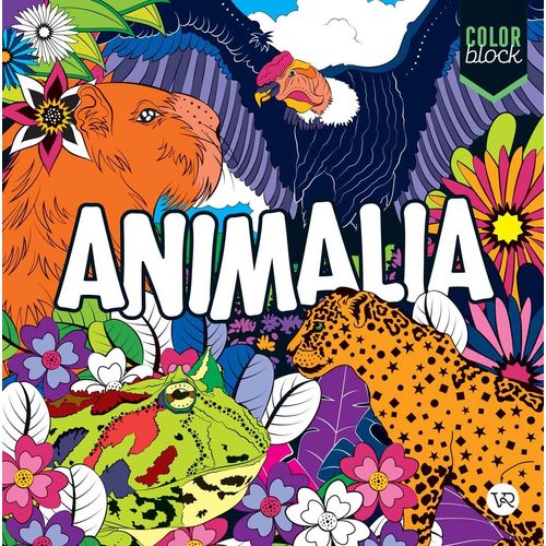 ANIMALIA - COLOR  BLOCK