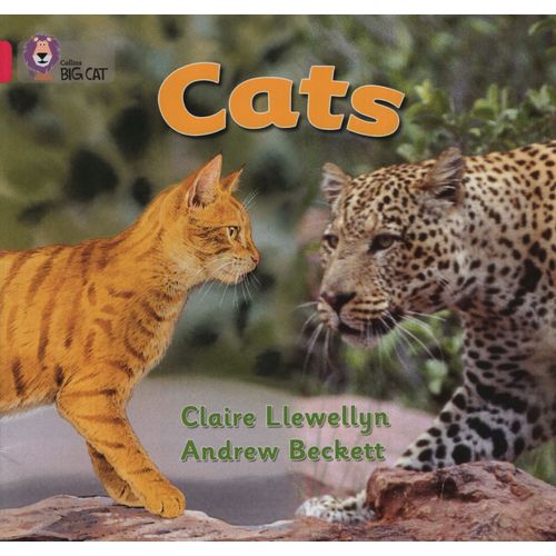 CATS - BIG CAT 1B / PINK B CATS - BIG CAT 1B / PINK B