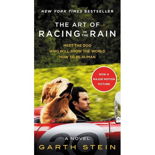 THE ART OF RACING IN THE RAIN - GARTH STEIN