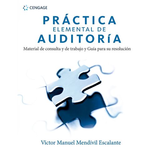 PRACTICA ELEMENTAL DE AUDITORIA - MATERIAL DE CONSULTA Y DE