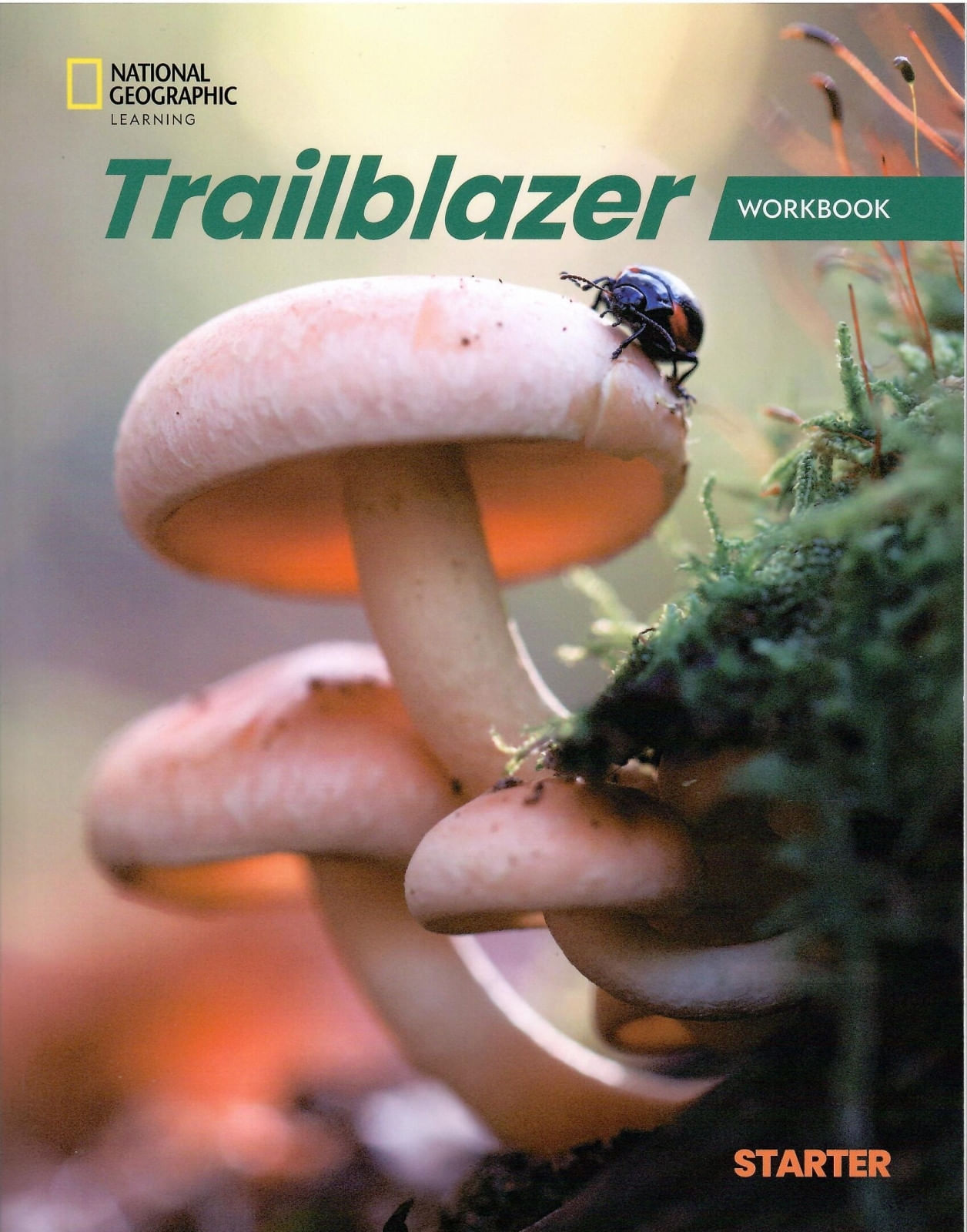 TRAILBLAZER STARTER - WORKBOOK