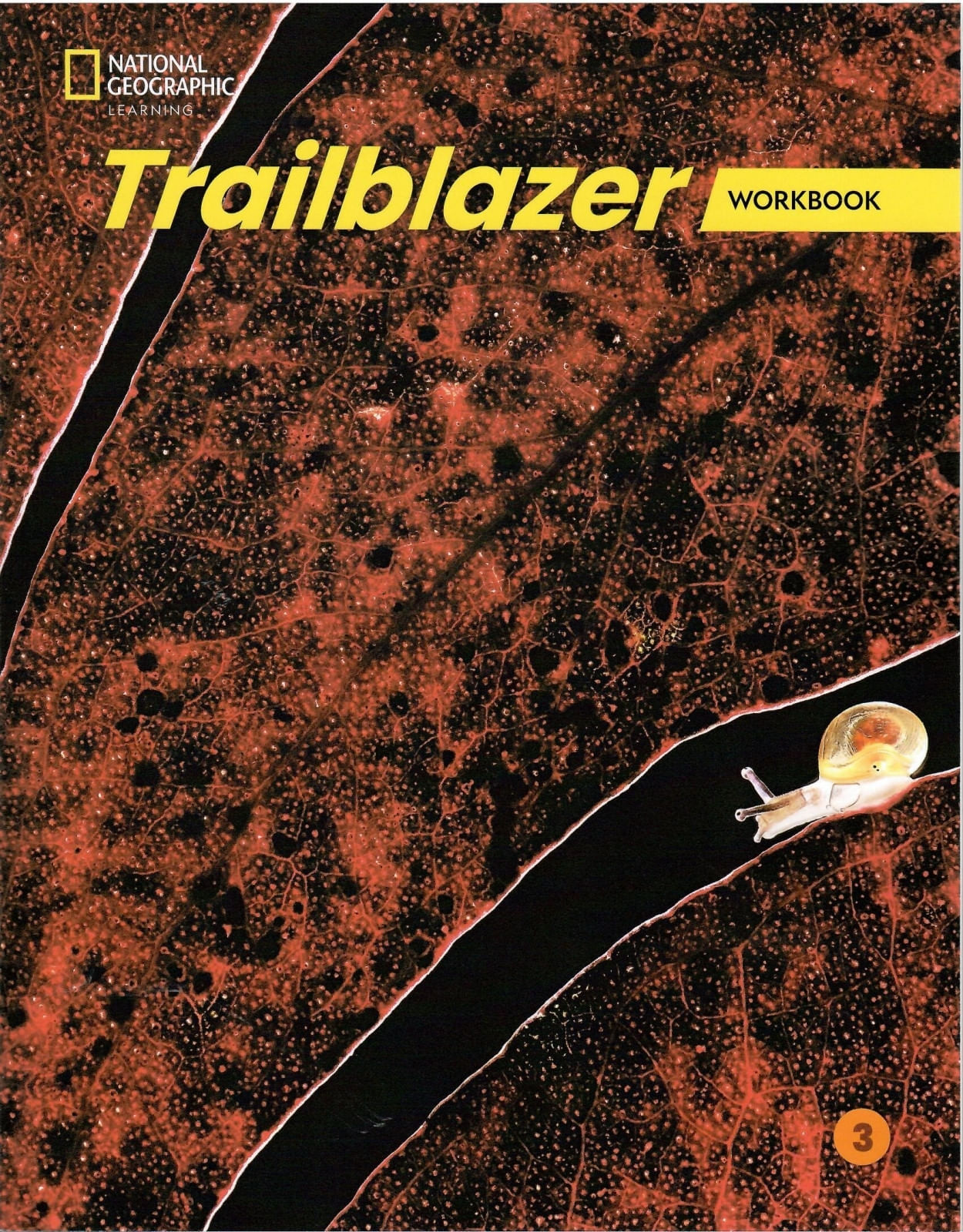 TRAILBLAZER 3 - WORKBOOK