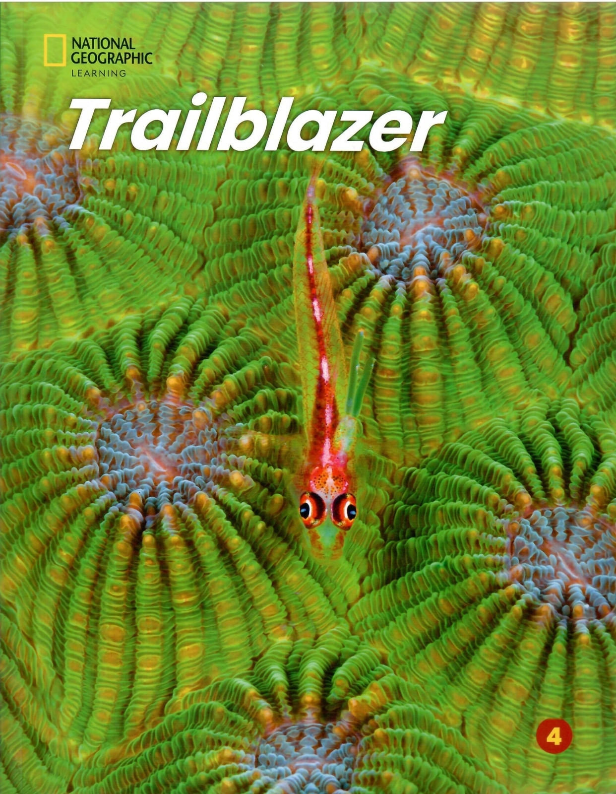 TRAILBLAZER 4 - STUDENT'S BOOK + SPARK PLATFORM