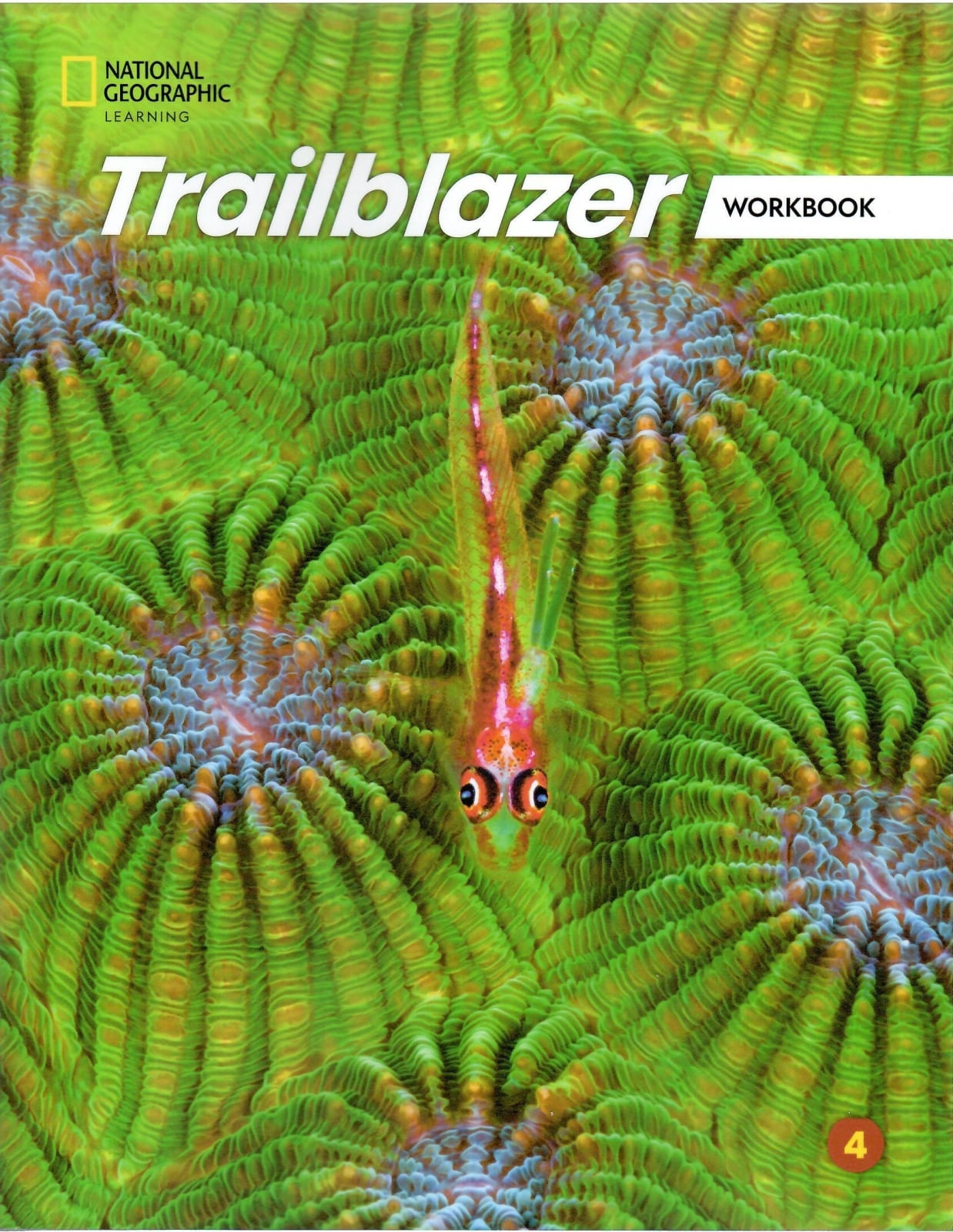 TRAILBLAZER 4 - WORKBOOK