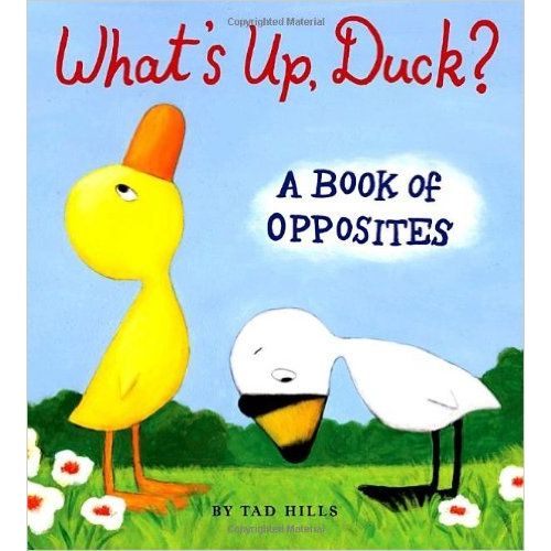 WHAT'S UP, DUCK? A BOOK OF OPPOSITES