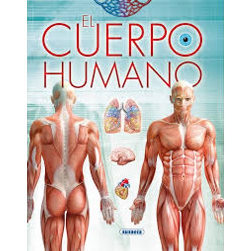 EL CUERPO HUMANO