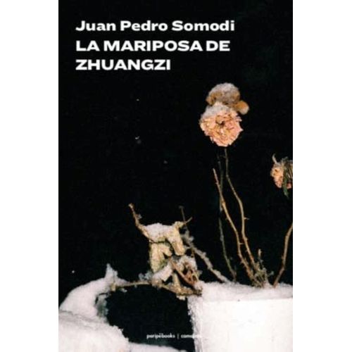 LA MARIPOSA DEL ZHUANGZI - JUAN PEDRO SOMODI