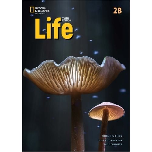 AMERICAN LIFE 2 3RD.EDITION - SPLIT B + SPARK PLATFORM