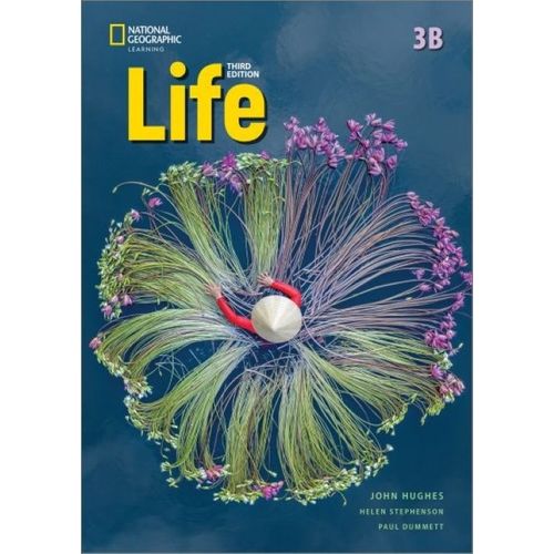 AMERICAN LIFE 3 3RD.EDITION - SPLIT B + SPARK PLATFORM