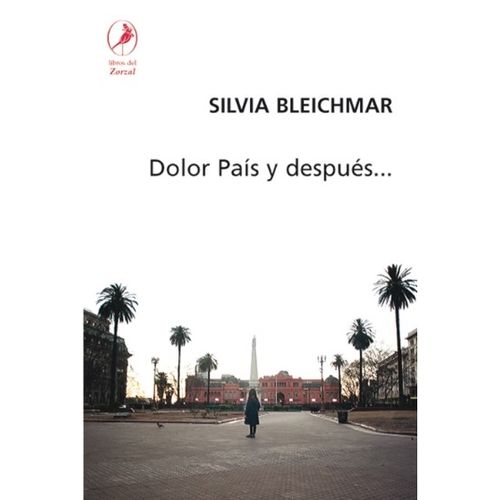 DOLOR PAIS Y DESPUES - SILVIA BLEICHMAN