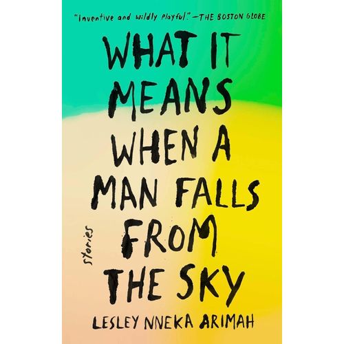 WHAT IT MEANS WHEN A MAN FALLS FROM THE SKY - LESLEY NNEKA A