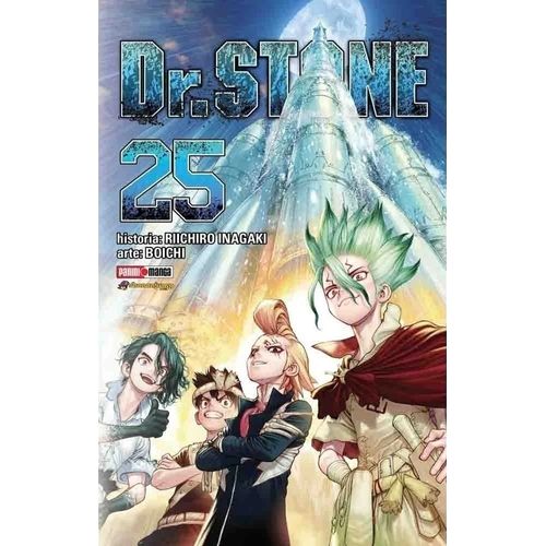 DR STONE 25 - RIICHIRO INAGAKI - BOICHI