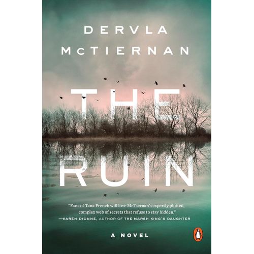 THE RUIN - CORMAC REILLY MISTERIES 1 - DERVLA MCTIERNAN