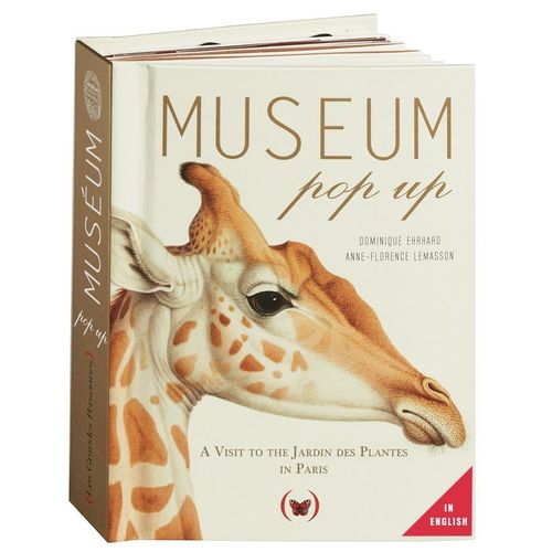 MUSEUM POP UP - VERSION ANGLAISE - DOMINIQUE EHRHARD