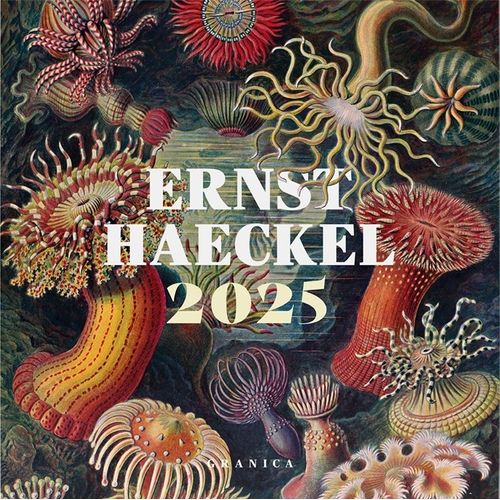 CALENDARIO 2025 ERNST HAECKEL DE PARED - ERNST HAECKEL