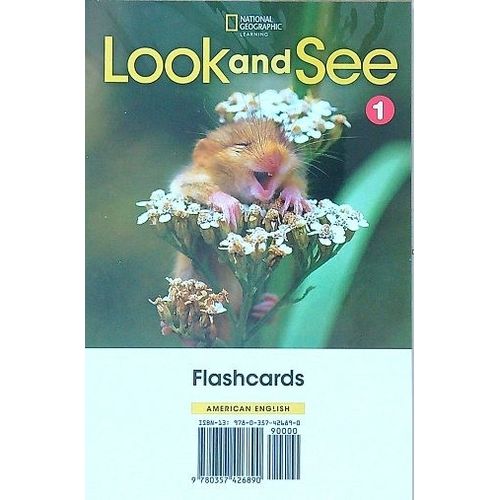 AMERICAN LOOK AND SEE 1 - FLASHCARDS