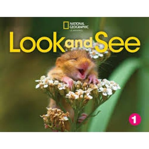 LOOK AND SEE 1 - FLASHCARDS