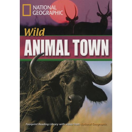 WILD ANIMAL TOWN - B1 - FOOTPRINT + MULTIROM (AME) WILD ANIMAL TOWN - B1 - FOOTPRINT + MULTIROM (AME)