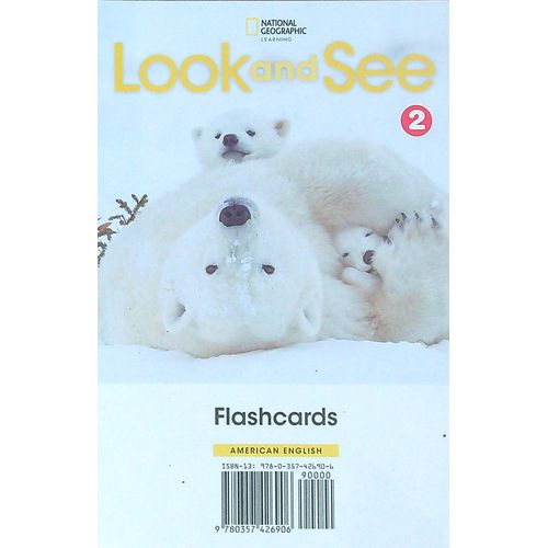 AMERICAN LOOK AND SEE 2 - FLASHCARDS