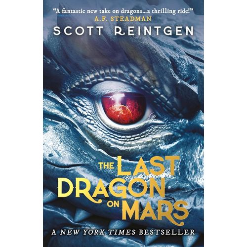 THE LAST DRAGON ON MARS - DRAGONSHIPS 2 - SCOTT REINTGEN