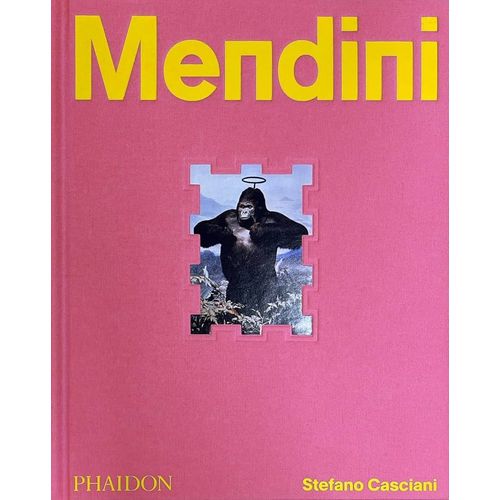 LIBRO MENDINI - STEFANO CASCIANI
