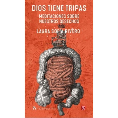 DIOS TIENE TRIPAS - MEDITACIONES SOBRE NUESTROS DESECHOS