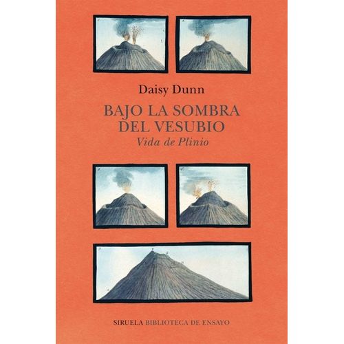 BAJO LA SOMBRA DEL VESUBIO - VIDA DE PLINIO - DAISY DUNN